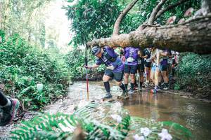 BIB: 
                            <button type="button" onclick="openModal(25472299)" class="btn btn-primary btn-sm float-right btn-popup" data-toggle="modal" data-target=".modal-high-quality">
                        <i class="fas fa-shopping-cart"></i> Add to Cart
                    </button>
                                            <button type="button" onclick="isThisMe(25472299, true)" class="btn btn-success btn-sm float-right btn-popup btn-isme hidden" data-toggle="tooltip" data-placement="bottom" title="นี่คือรูปของคุณใช่ไหม คลิกที่นี่เพื่อเอาเข้าอัลบั้ม">
                        <i class="fas fa-plus"></i> Add to album
                    </button>
                    <button type="button" onclick="isThisMe(25472299, false)" class="btn btn-warning btn-sm float-right btn-popup btn-isnotme hidden">
                        <i class="fas fa-ban"></i> Remove from album
                    </button>